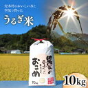 30位! 口コミ数「0件」評価「0」【令和5年産】うるぎ米10kg【1209164】