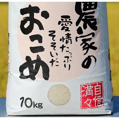 【ふるさと納税】【令和5年産】うるぎ米10kg【1209164】