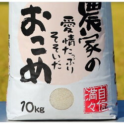 【ふるさと納税】【令和4年産】うるぎ米10kg【1209164】 画像1