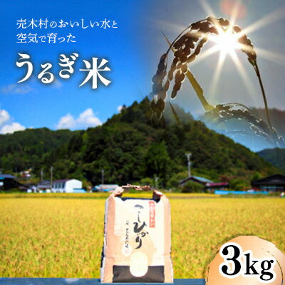 【令和5年産】うるぎ米3kg【1209992】