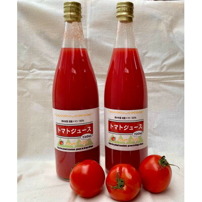 南信州売木村　完熟トマト100%のトマトジュース　720ml×2本【1447273】