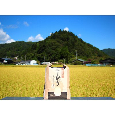 長野県売木村の画像2