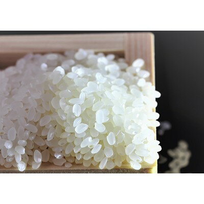 長野県売木村の画像3