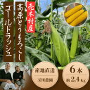 【ふるさと納税】【2025年発送】長野県売木村産 朝採れ高原とうもろこし「ゴールドラッシュ」6本入り【配送不可地域:離島】【1579213】