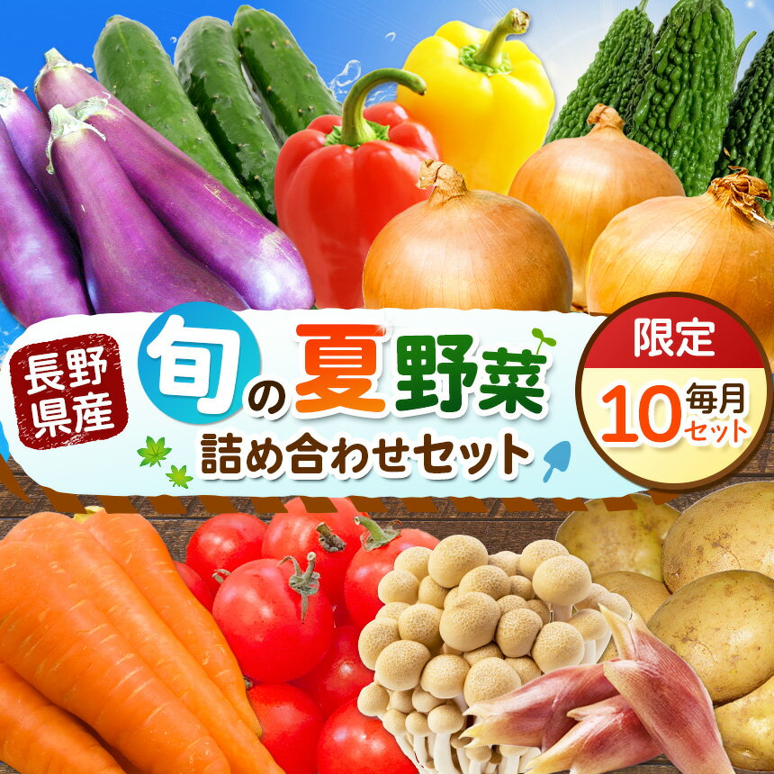 【ふるさと納税】天龍村 旬の夏野菜 ( 農産物 ) | 詰め合わせ セット 野菜 野菜セット 農産物 野菜類 詰合せ セット 長野県 天龍 てんりゅう