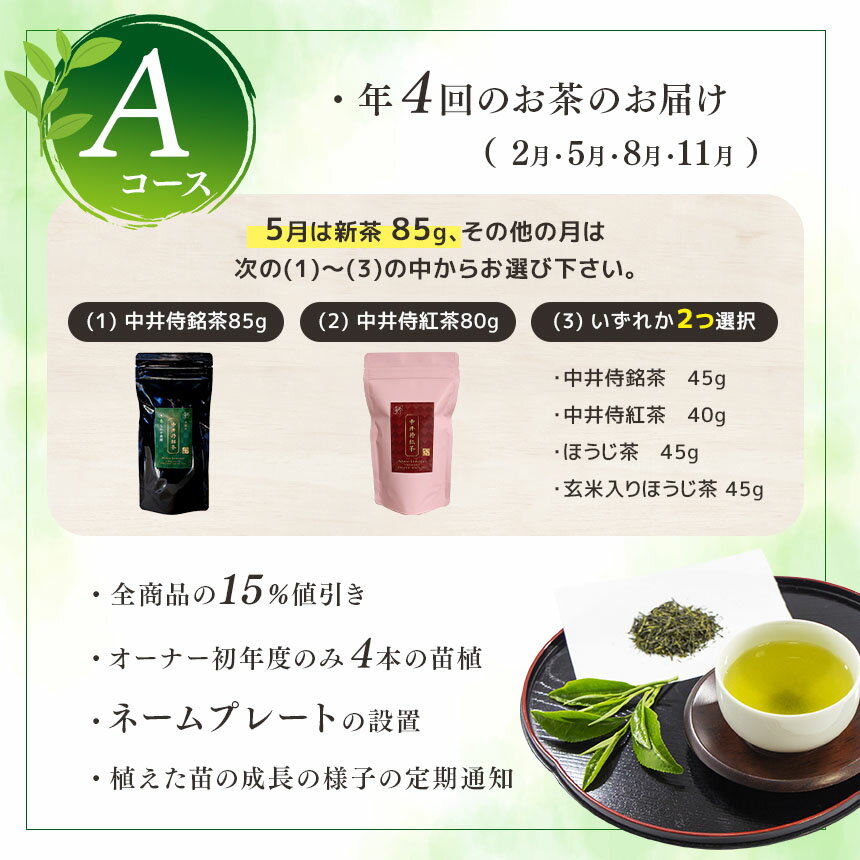 長野県天龍村の画像2