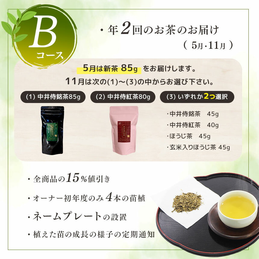 長野県天龍村の画像3