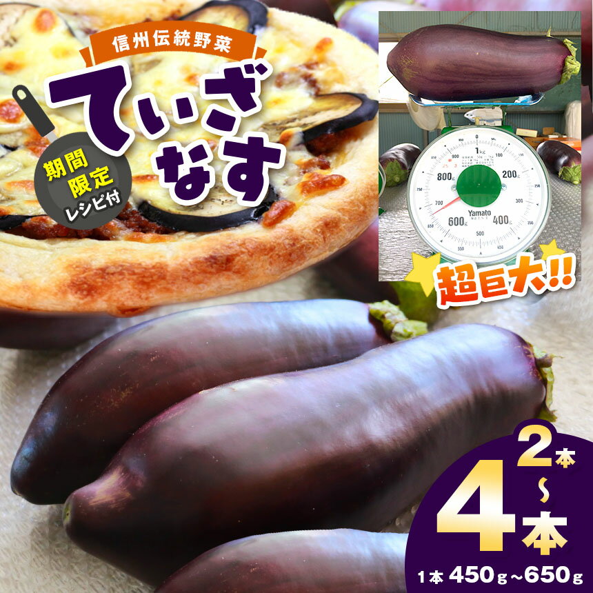 【ふるさと納税】【期間限定☆レシピ付】信州伝統野菜　天龍村産ていざなす 2本 or 4本 セット　【野菜...