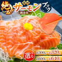 【ふるさと納税】絶品！信州サーモン ブロック 300g ～ 