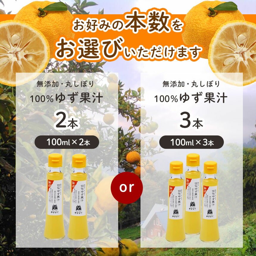 【ふるさと納税】丸しぼり 100%ゆず果汁 100ml【果汁飲料・ジュース・加工食品】