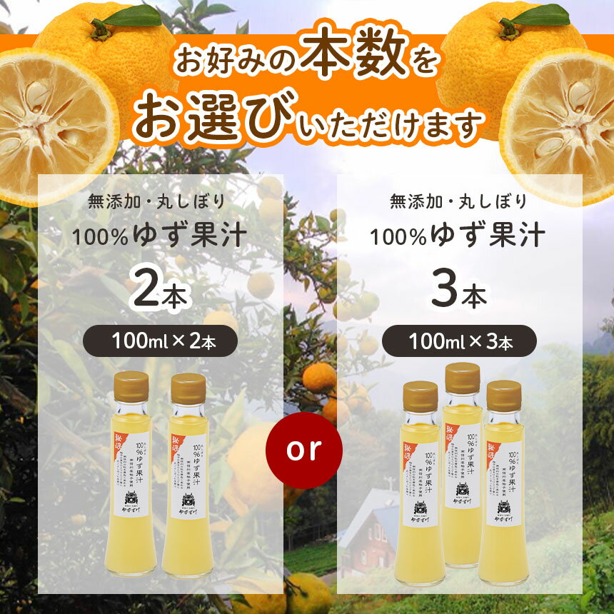 【ふるさと納税】丸しぼり 100% ゆず果汁 100ml【果汁飲料・ジュース・加工食品】