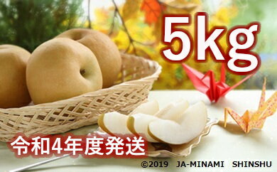 記事番号:33389/アイテムID:361018の画像