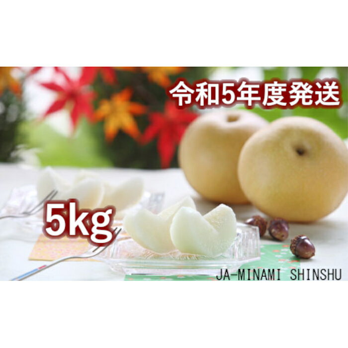 【ふるさと納税】【令和5年度発送先行予約品】5-J08梨(豊水)【太鼓判・優糖生】約5kg