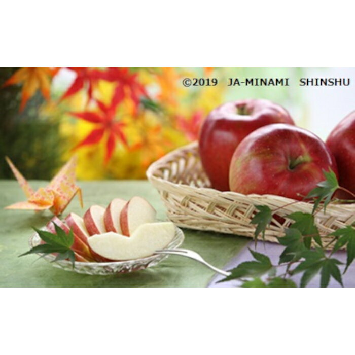 【ふるさと納税】6-J11 シナノスイート 約5kg 5kg りんご 10月