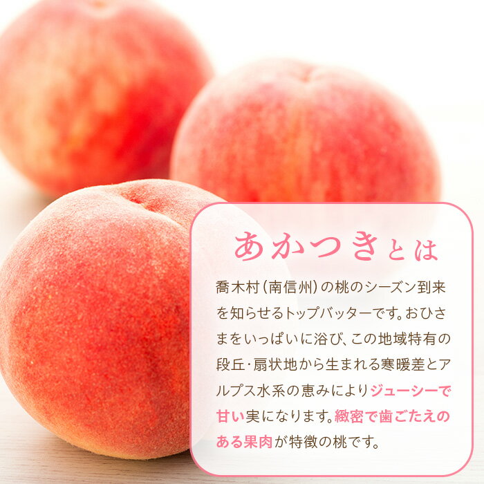 長野県喬木村の画像2