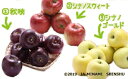 【ふるさと納税】【令和7年度発送先行予約品】7-J24 りんご3兄弟食べ比べリレーギフト りんご 秋映 シナノゴールド シナノスイート リレー 定期便 2.5k...
