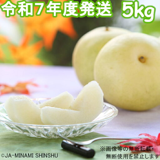 【ふるさと納税】【令和7年度発送先行予約品】7-J34 【南信州産】20世紀梨 太鼓判 約5kg 10玉~16玉 なし 梨 和梨 二十世紀 20世紀 南信州 みなみ信州 たかぎ 【ふるさと納税】【令和7年度発送先行予約品】7-J34 【南信州産】20世紀梨 太鼓判 約5kg 10玉~16玉 なし 梨 和梨 二十世紀 20世紀 南信州 みなみ信州 たかぎ