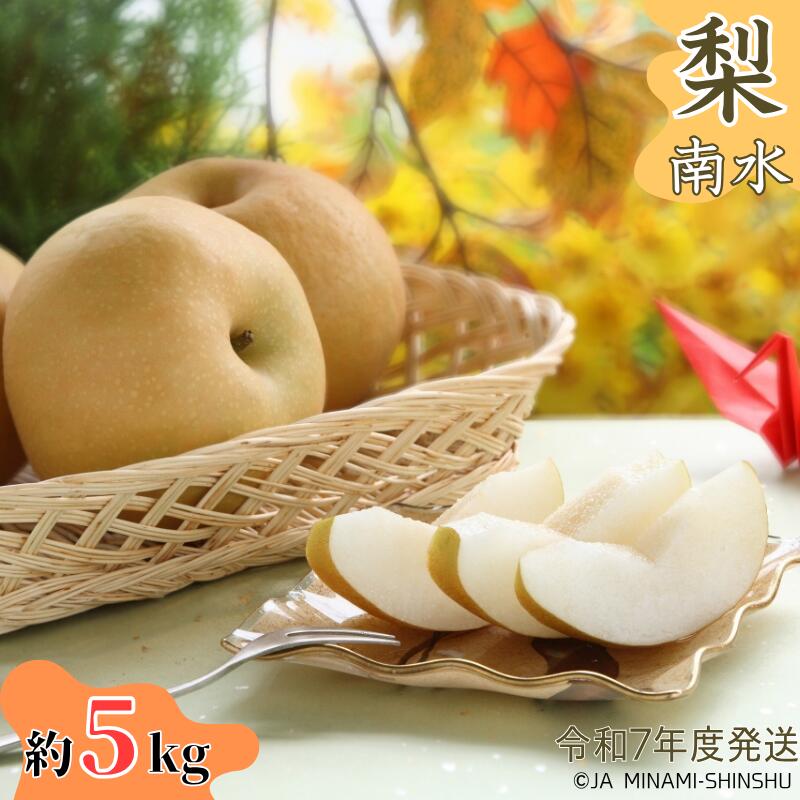 【ふるさと納税】【令和7年度発送先行予約品】7-J09 梨 南水 【太鼓判・優糖生】約5kg 5kg 糖度 光センサー 9月 南信州 喬木村のサムネイル