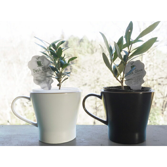 長野県喬木村の画像2