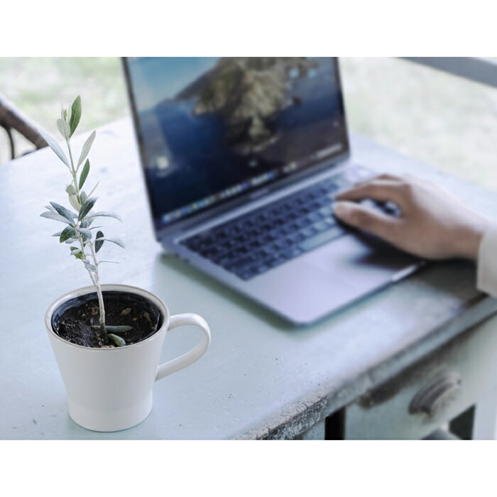 長野県喬木村の画像3