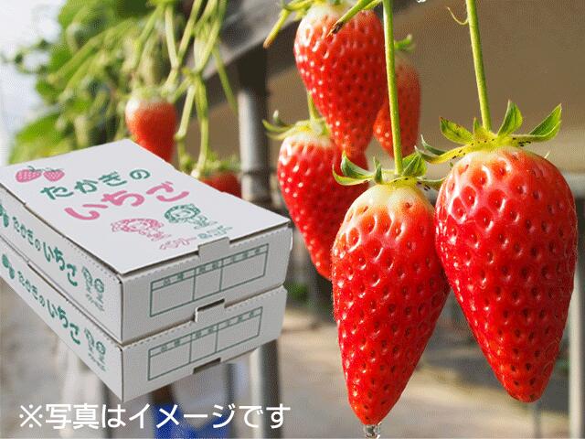 長野県喬木村の画像3