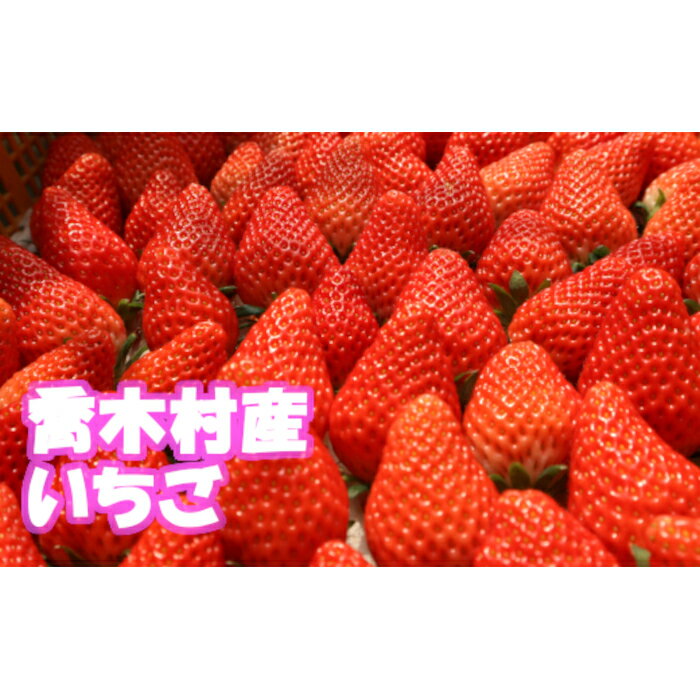 45位! 口コミ数「0件」評価「0」7-N01　喬木産　大粒いちご2箱