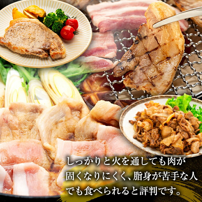 長野県喬木村の画像3