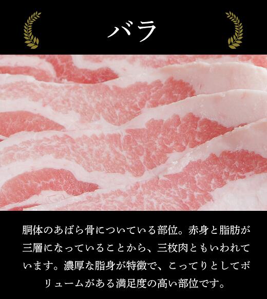 長野県豊丘村の画像2