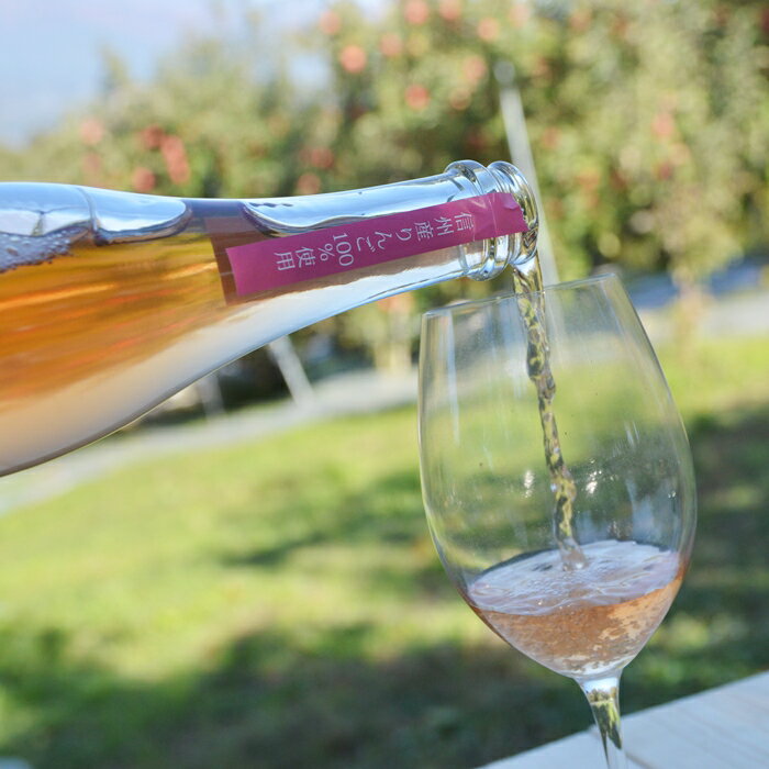 長野県豊丘村の画像2