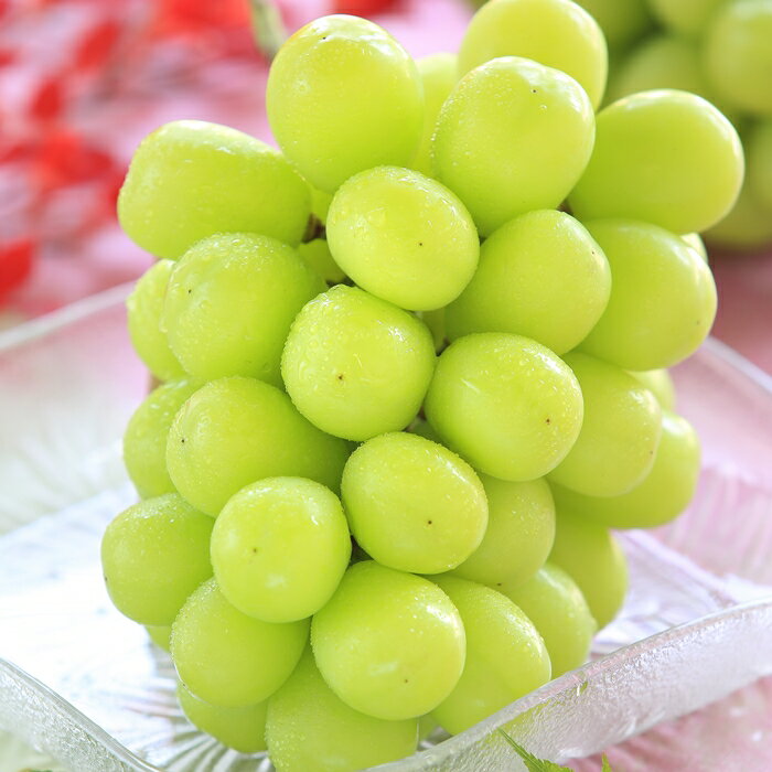 長野県豊丘村の画像2