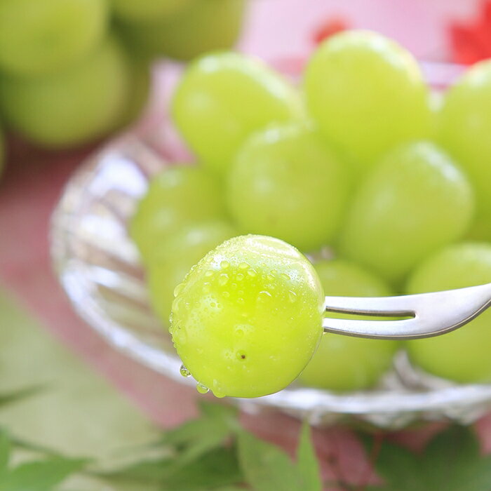長野県豊丘村の画像3