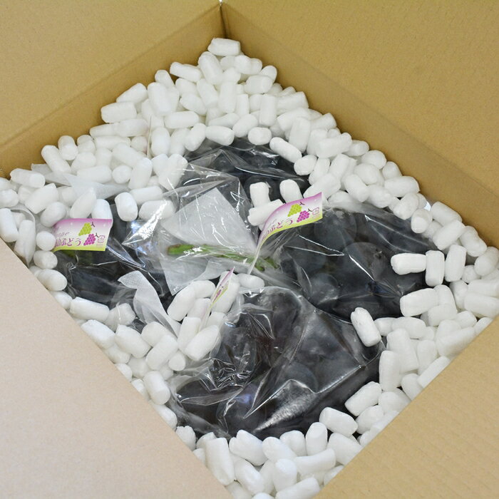 長野県豊丘村の画像2