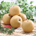 【ふるさと納税】〈先行予約〉梨 豊水〈訳あり品 〉 約5kg【8~16玉】※2025年8月下旬~9月中旬発送※