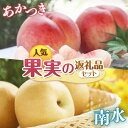 【ふるさと納税】【2025年発送先行予約】南信州産 定期便2回送り 人気果実の返礼品セット 各5kg <桃 あかつき><梨 南水>