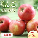 【ふるさと納税】<先行予約>りんご サンつがる<ご家庭用>【16~20玉】※2025年8月下旬~9月上旬配送※