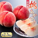 【ふるさと納税】【2026年発送先行予約】桃 あかつき 約2.5kg【6~10玉】※2026年発送先行予約分※ 農家直送 もも
