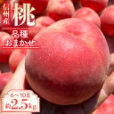 【ふるさと納税】【2026年発送先行予約】※品種おまかせ※ 初夏の桃 約2.5kg【6~10玉】 農家直送|もも|桃