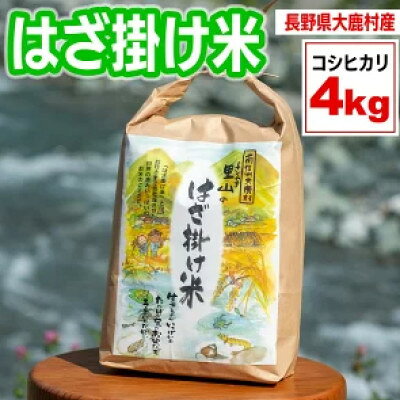 はざかけ米(令和8年度産米)4kg 白米