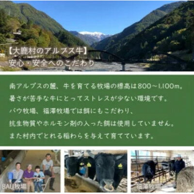 【ふるさと納税】アルプス牛　BAU牧場 安全安心の牛肉セット(ローススライス170g×2・バラスライス170g×2)【配送不可地域：離島】【1724059】