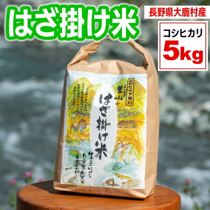 はざかけ米（令和5年度産米）5kg | 白米 コシヒカリ お米