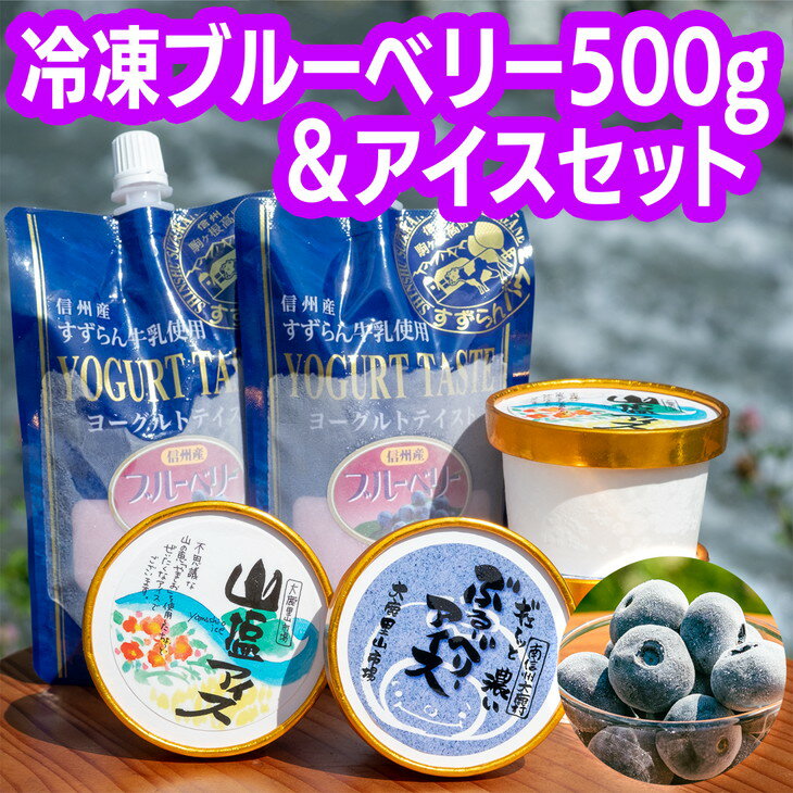 冷凍ブルーベリー 500g・アイスセット | おやつ 果物 フローズン ヨーグルト アイスクリーム