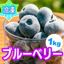 冷凍 ブルーベリー ｜ 急速冷凍 ジャム お菓子 デザート アイス 新鮮