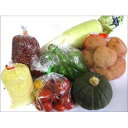 【ふるさと納税】季節の高原野菜★着日指定はできません。