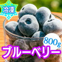 【ふるさと納税】冷凍 ブルーベリー ｜ 急速冷凍 ジャム お菓子 デザート アイス 新鮮