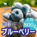 【ふるさと納税】冷凍ブルーベリー大粒800g | 急速冷凍 ジャム お菓子 デザート アイス 新鮮