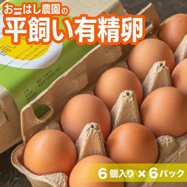 【ふるさと納税】おーはし農園の平飼い有精卵 6個 6パック | たまご 玉子 鶏 新鮮