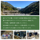 長野県大鹿村の画像3