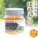 【ふるさと納税】天然妻籠のはちみつ 300g【1243165】