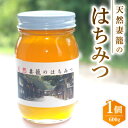 【ふるさと納税】天然妻籠のはちみつ 600g【1243178】