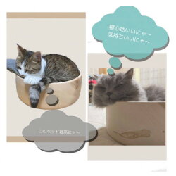 【ふるさと納税】猫ちゃんのまん丸ベッド【1335590】 画像2